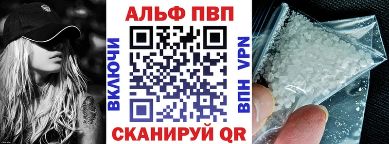 A PVP СК  Волжск 