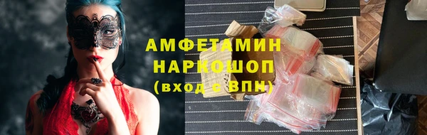 spice Богородицк