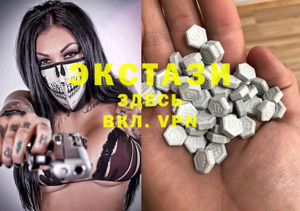 spice Богородицк