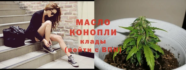 spice Богородицк