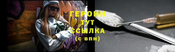 spice Богородицк