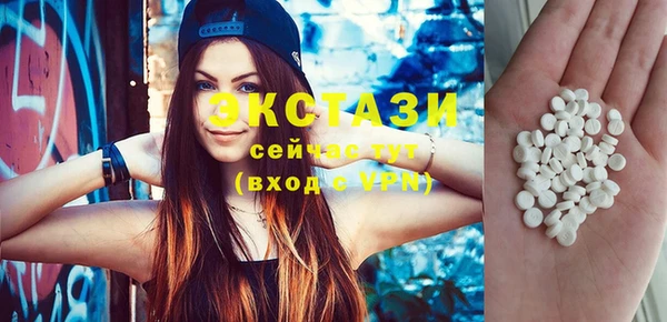 spice Богородицк