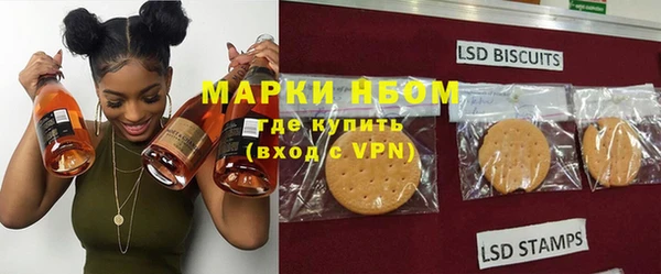 spice Богородицк