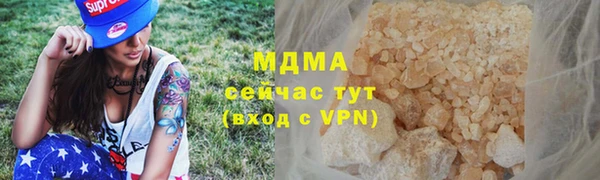 spice Богородицк