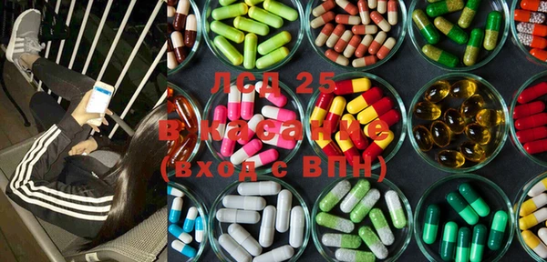 spice Богородицк