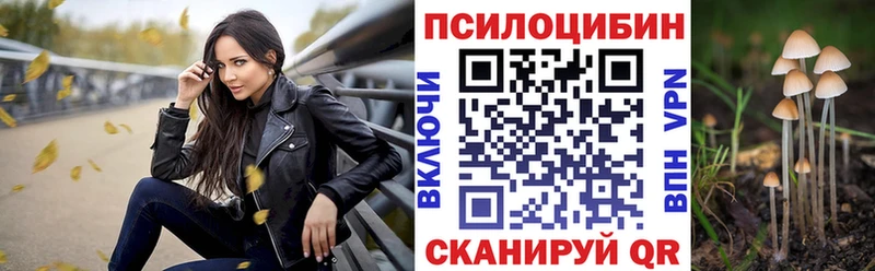 kraken tor  Волжск  Галлюциногенные грибы ЛСД 