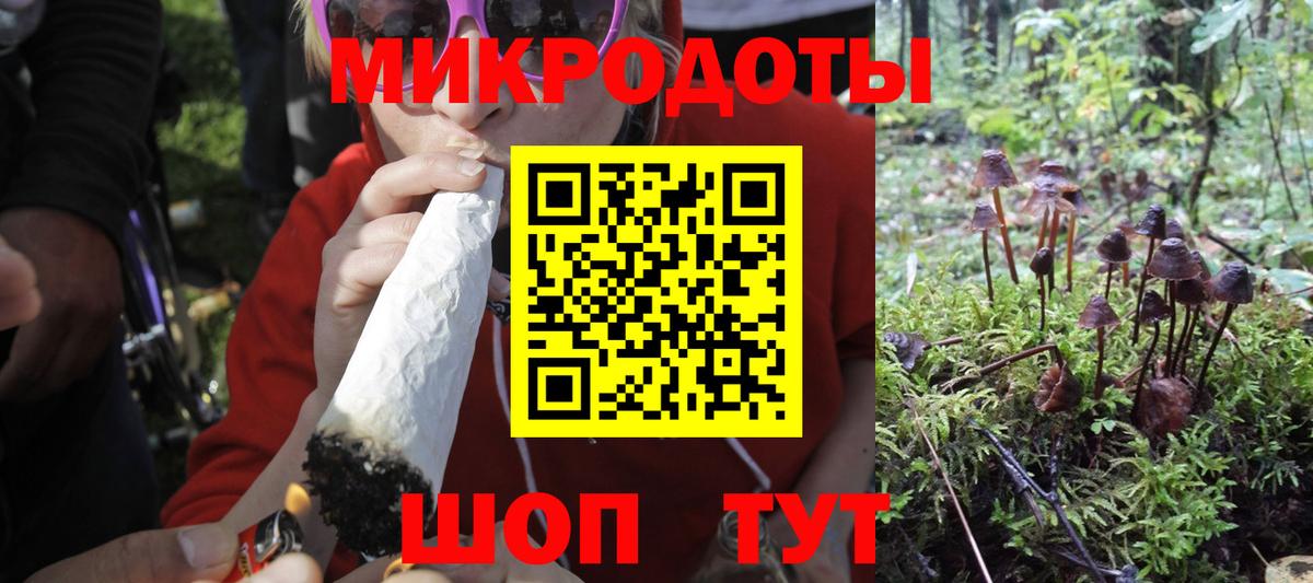 Галлюциногенные грибы Magic Shrooms Волжск