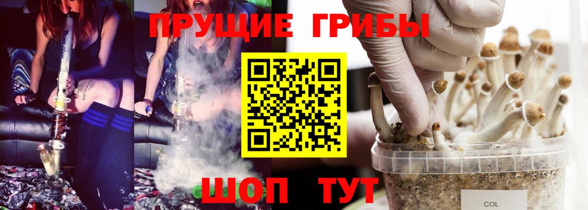 Галлюциногенные грибы Cubensis  Галлюциногенные грибы Psilocybine cubensis  Волжск  Вход с VPN 